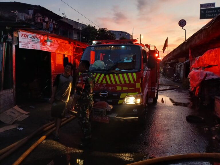 WhatsApp Image 2025-10-14 at 07.14.43